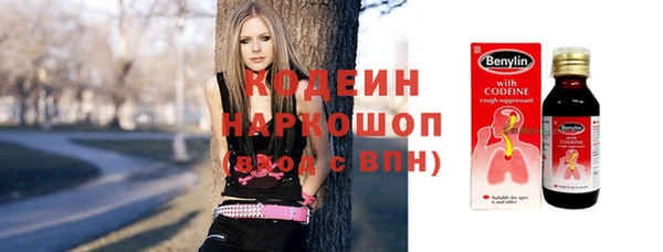молекула духа Арсеньев