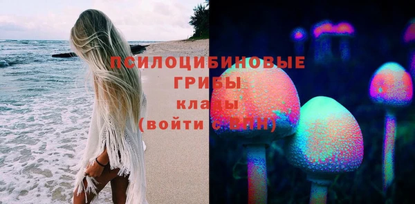 трава Балахна