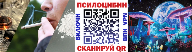 где найти наркотики  Каспийск  Галлюциногенные грибы Cubensis 